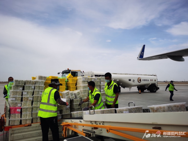 中亚南亚联手中国西部日益紧密走廊生机蓬勃，新疆区域航空人流货流量质举起精彩